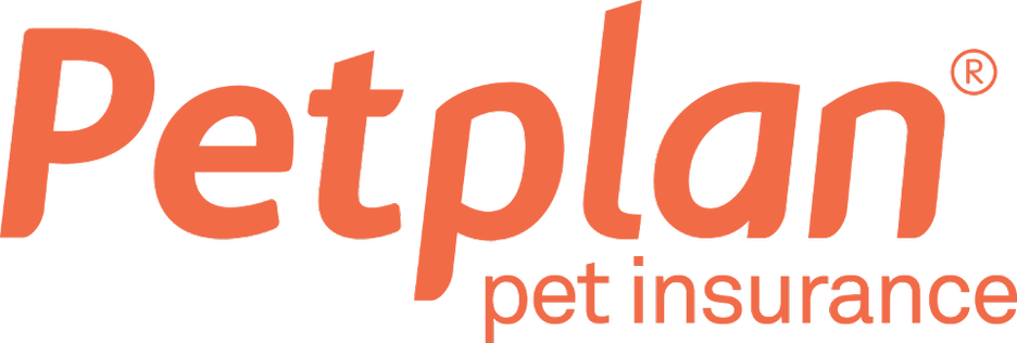 Petplan Pet Insurance Information Everything You Need To Know